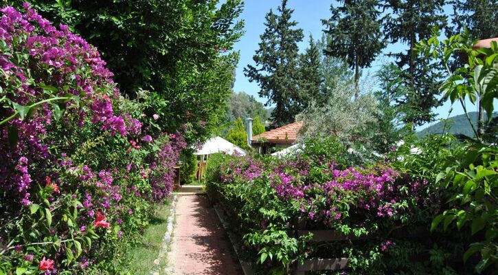 Alya Hotel Göcek